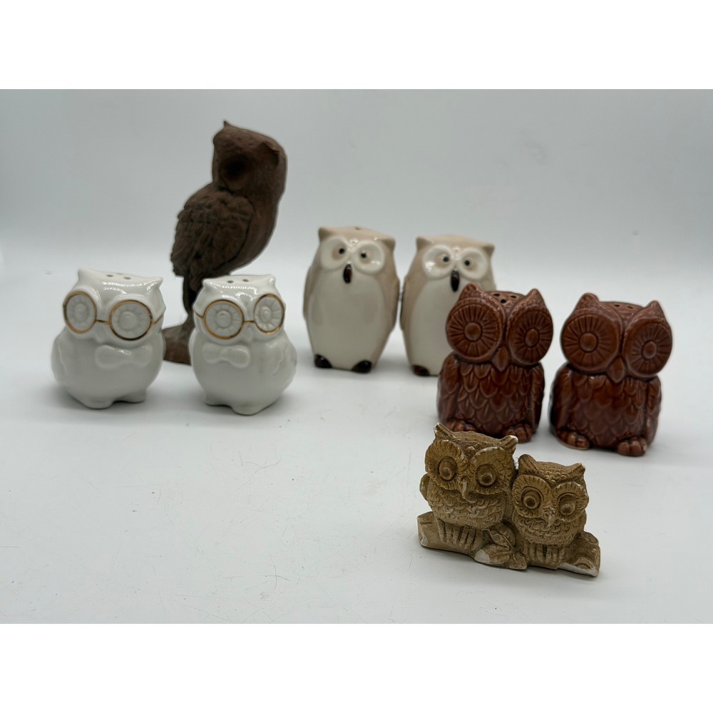 Owl Salt and Pepper Shakers Set & Decor Figurines Pier 1 Brown White 8pc owl set